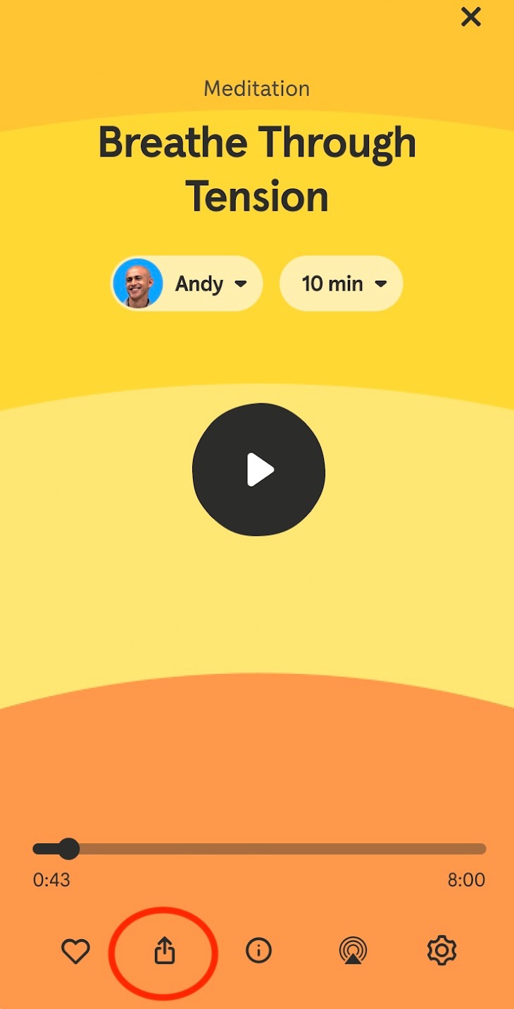 Andy Puddicombe co-founder of Headspace